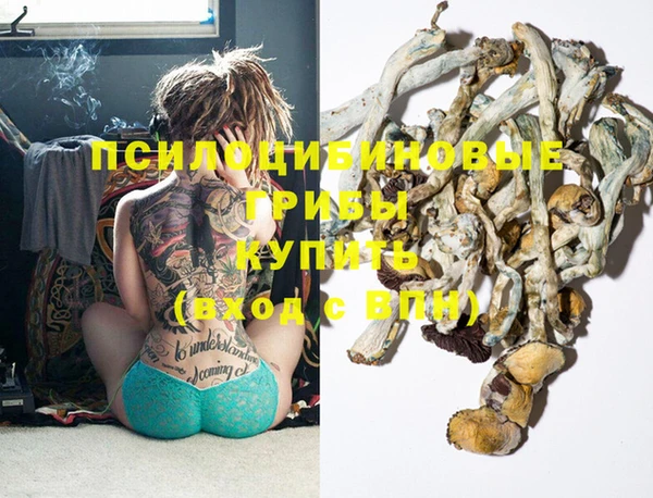твердый Осташков