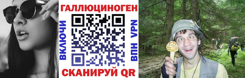 Псилоцибиновые грибы MAGIC MUSHROOMS  Дубна 