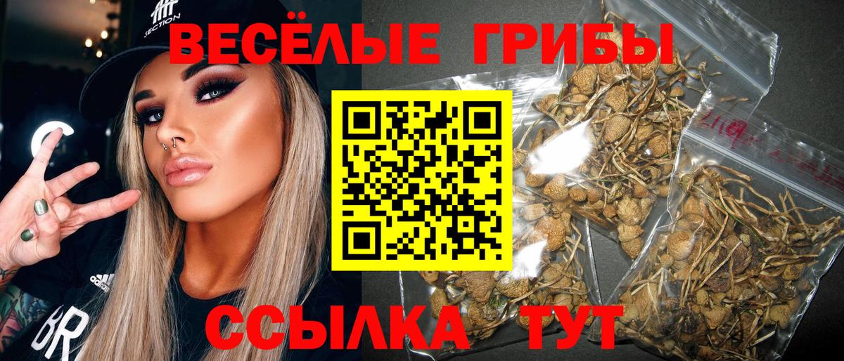 МЕФ Дубна