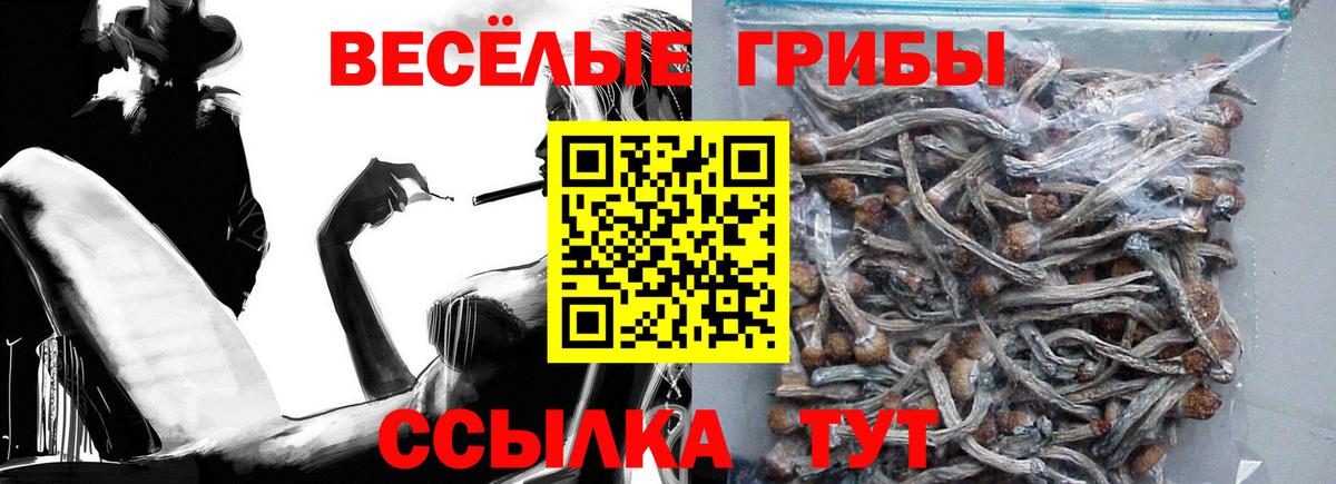 Галлюциногенные грибы Magic Shrooms Дубна